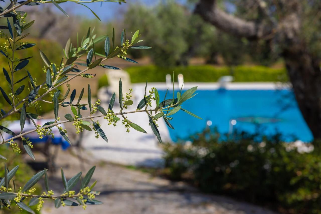 Casa Ulmi Con Piscina Bed and Breakfast Uggiano La Chiesa Εξωτερικό φωτογραφία